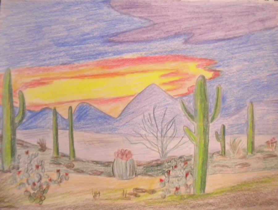 900x679 Mojave Desert Drawing - Desert Drawing Pictures