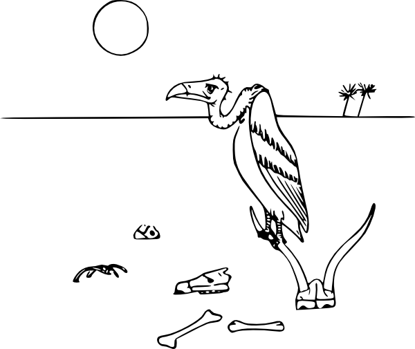 600x505 Collection Of Free Ecosystem Drawing Animal Download On Ui Ex - Desert Ecosystem Drawing