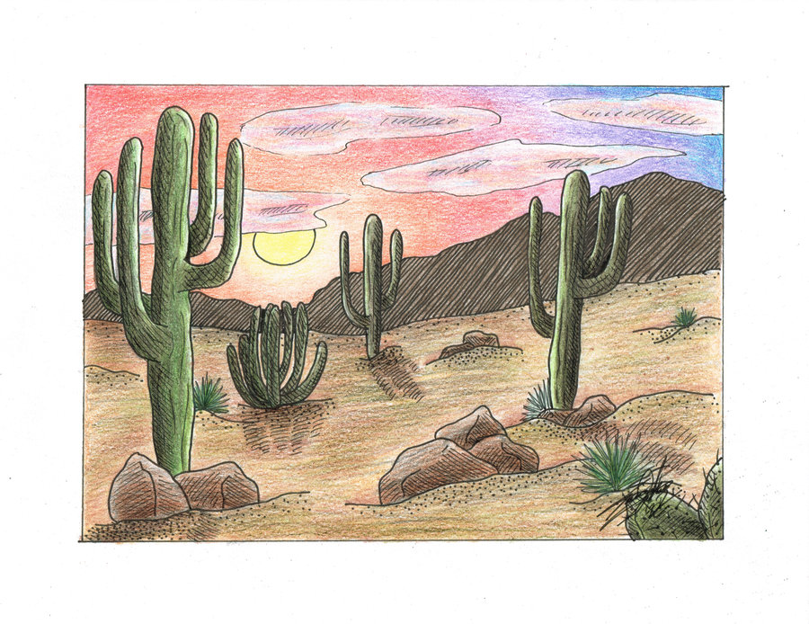 Desert Ecosystem Drawing at Explore collection of