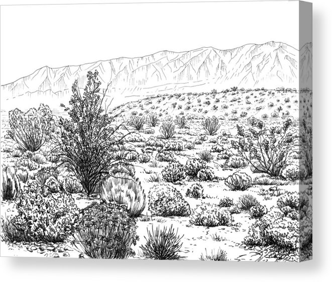 Desert Ecosystem Drawing at Explore collection of