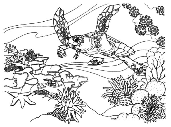 600x446 Ecosystem Free Coloring Pages On Art Coloring Pages - Desert Ecosystem Drawing