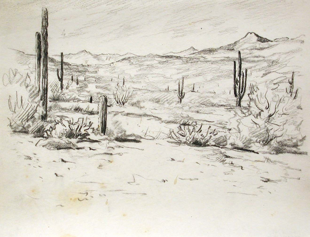 Desert Landscape Drawing