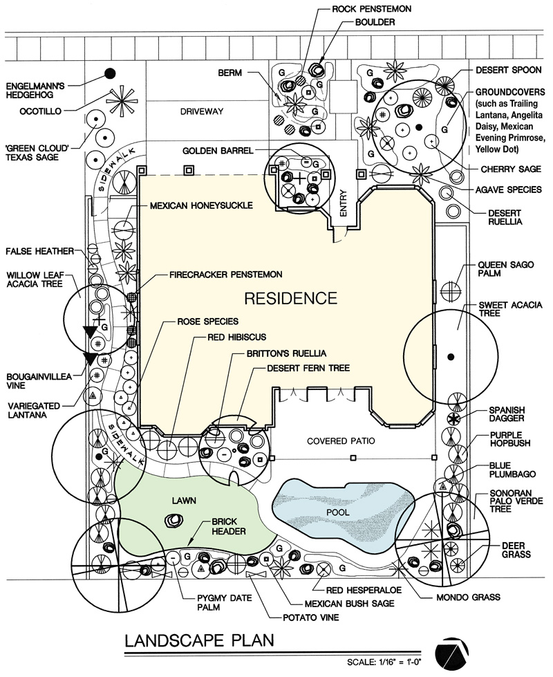 800x979 xeriscape landscaping with style in the arizona desert - Desert Landscape Drawing
