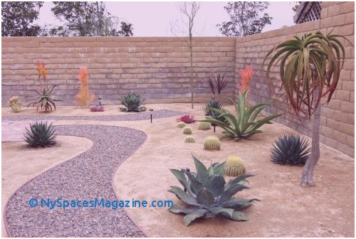 500x336 Desert Landscape Drawing Archives - Desert Landscape Drawing