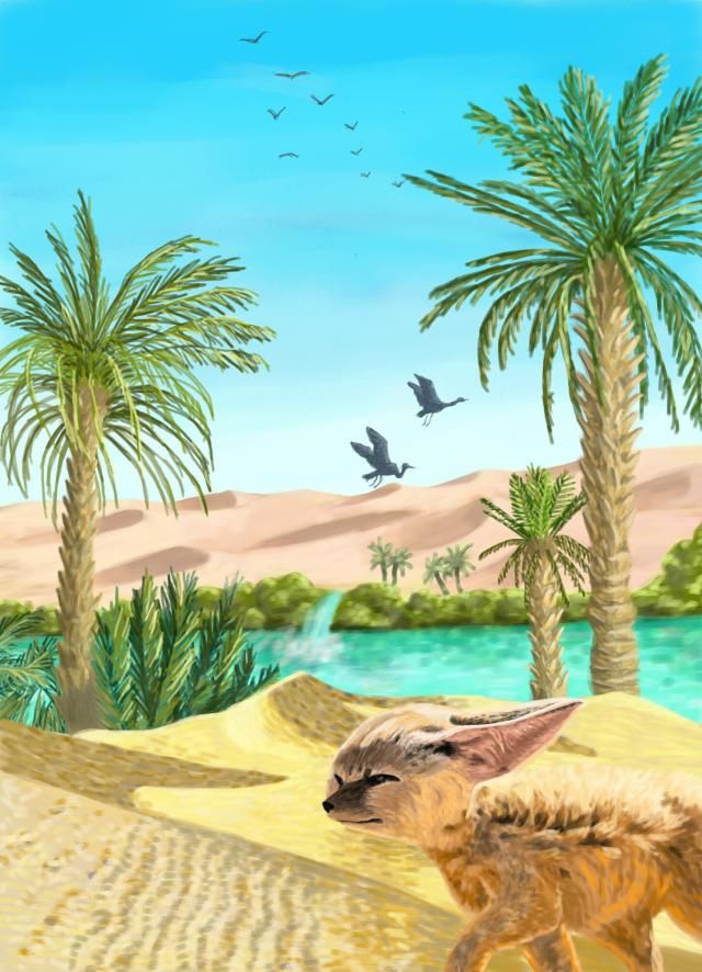 640x886 oasis drawing art contest winners noah's ark desert drawing - Desert Oasis Drawing