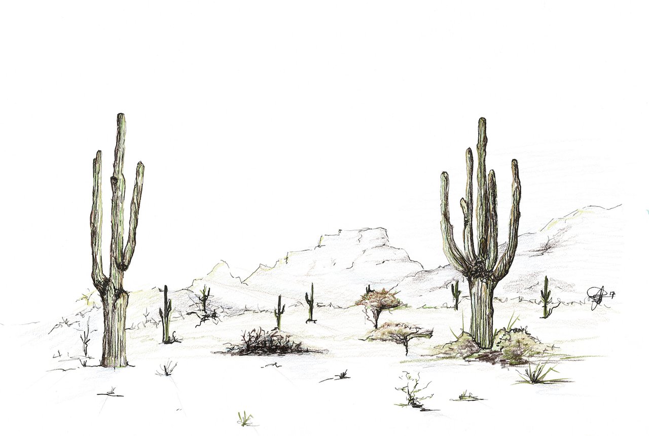 1280x860 Desert Scene Gypsy And The Bowerbird - Desert Scene Drawing