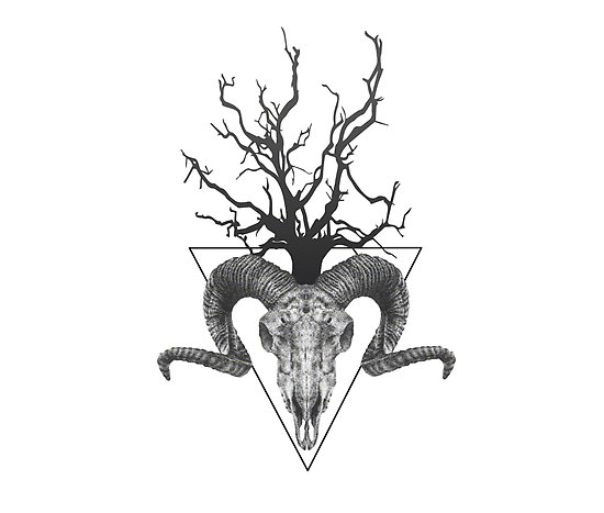 550x467 Desert Skull Posters - Desert Skull Drawing