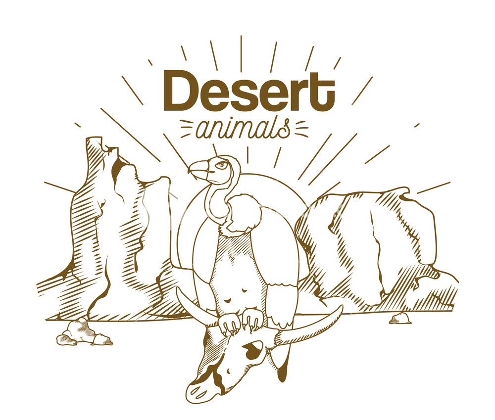 1000x849 desert vulture on skull hand drawing cartoon vector illustration - Desert Skull Drawing
