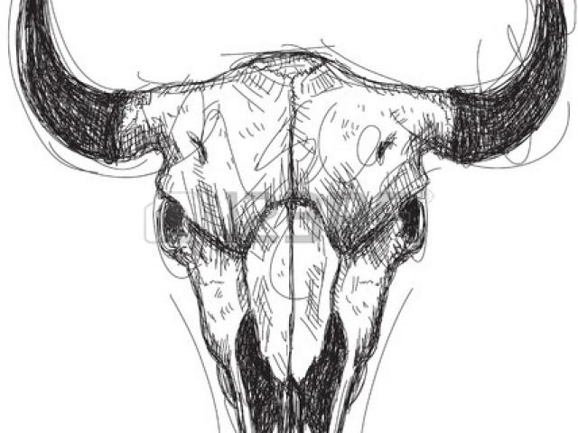 640x480 Drawn Desert Skull - Desert Skull Drawing