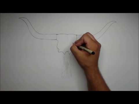 480x360 How To Draw A Simple Cow Skull With Feathers - Desert Skull Drawing