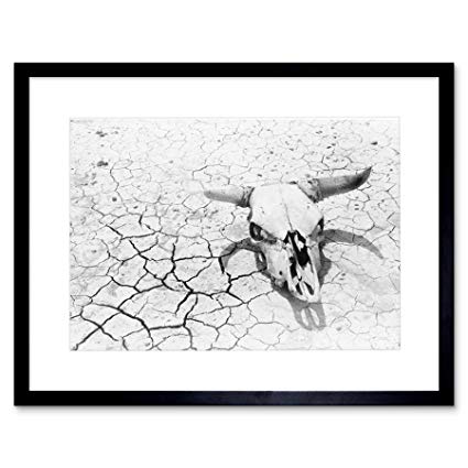 425x425 vintage still life desert floor cow skull crack dry - Desert Skull Drawing