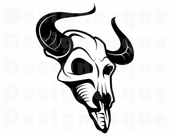 570x456 steer skull desert skull animal skull steer etsy - Desert Skull Drawing