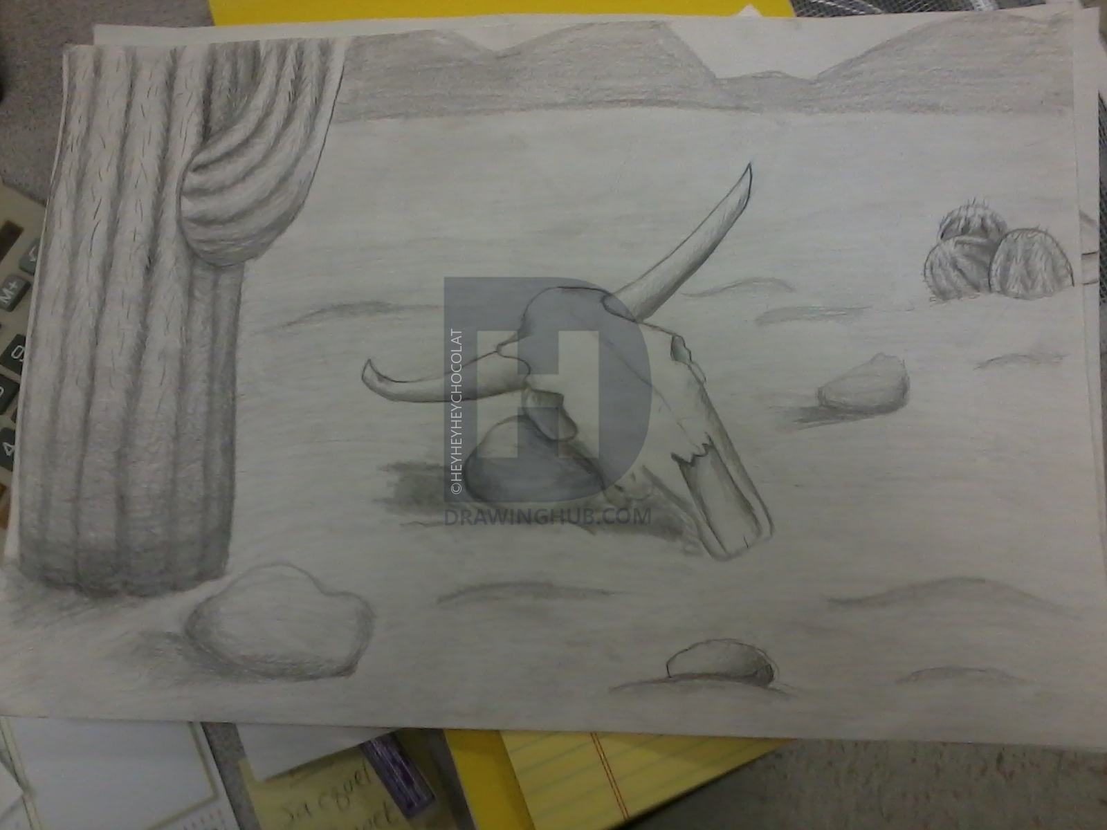 1600x1200 Cow Skull In Desert Drawing - Desert Skull Drawing