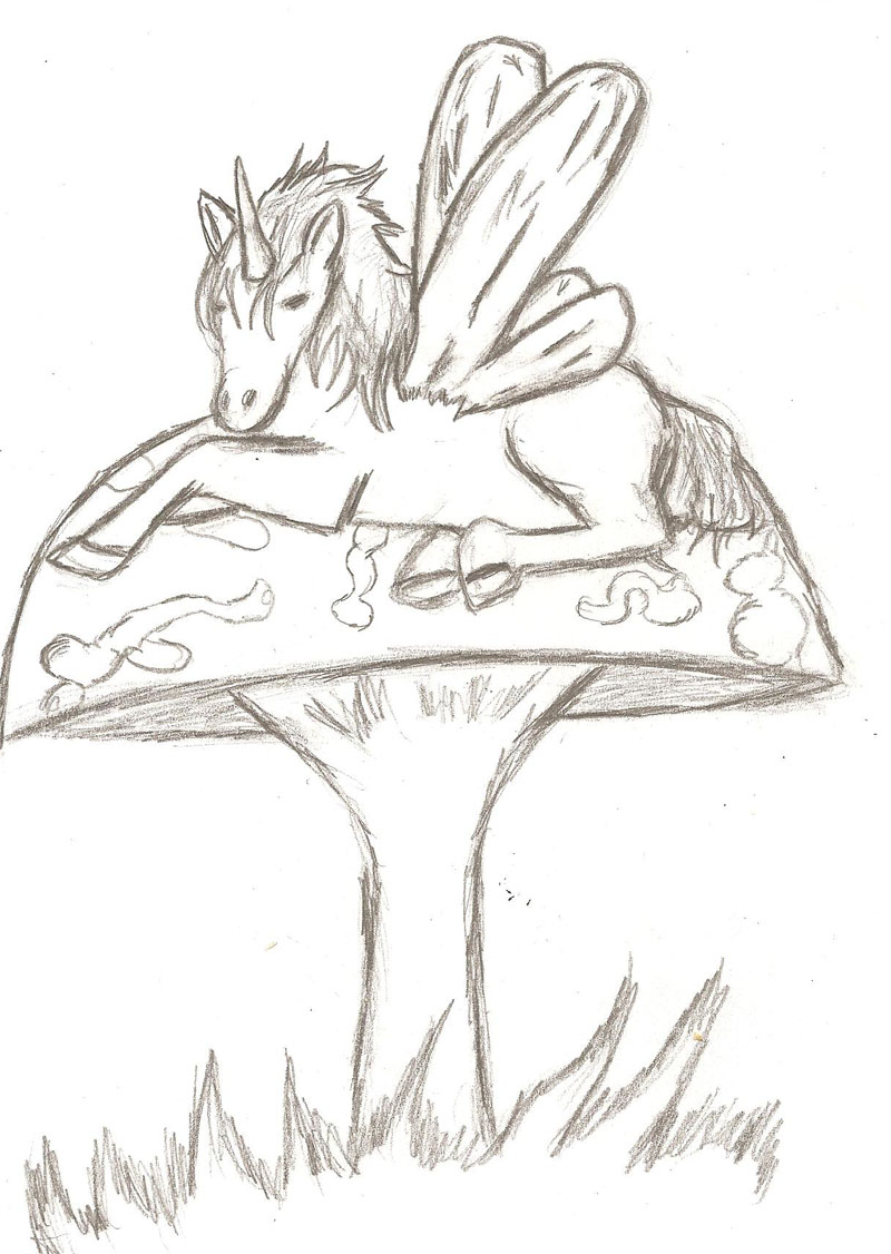 800x1126 How To Draw Despicable Me Unicorn My Fae Foal - Despicable Me Unicorn Drawing