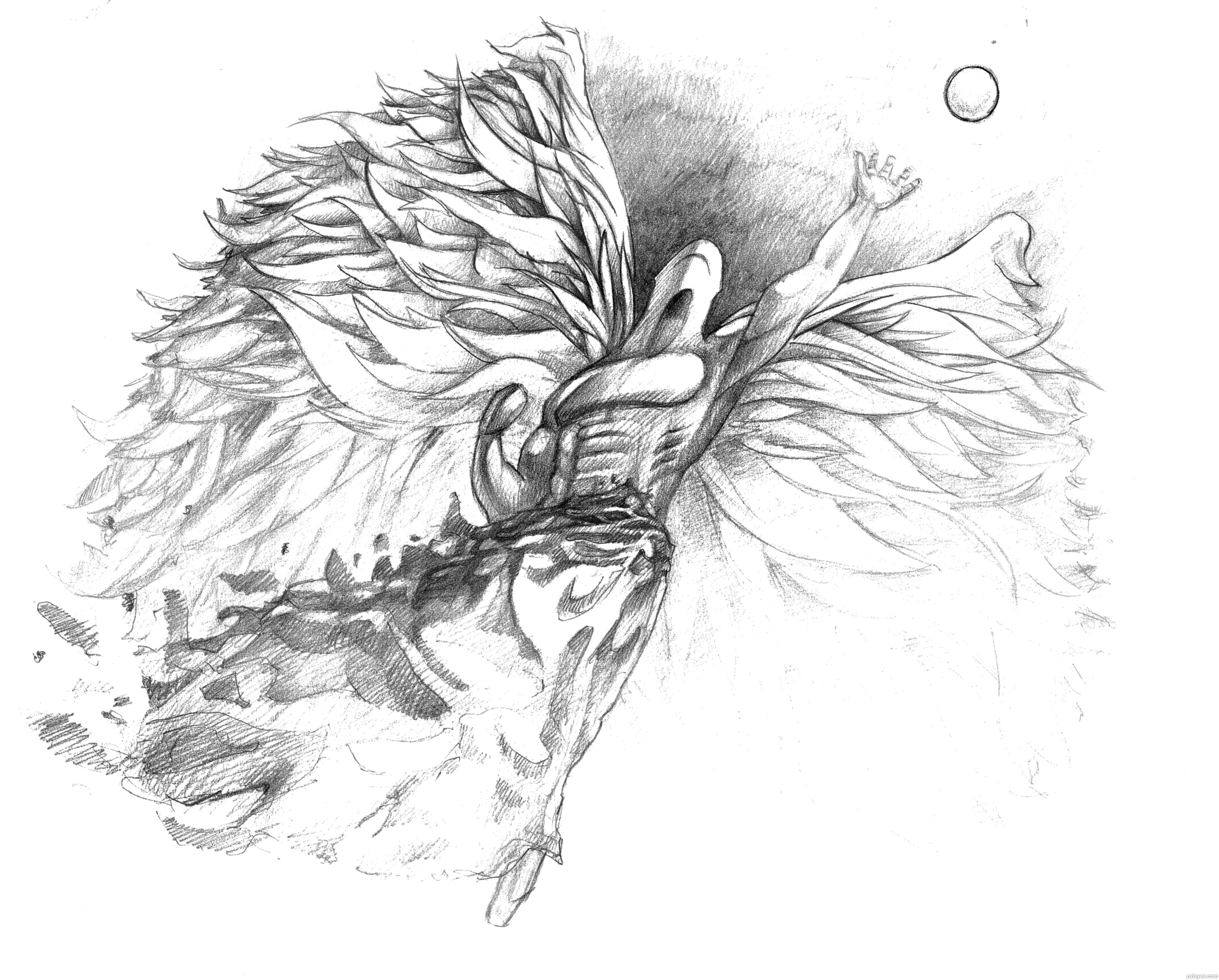 4256x3421 detailed angel drawings - Detailed Angel Drawing