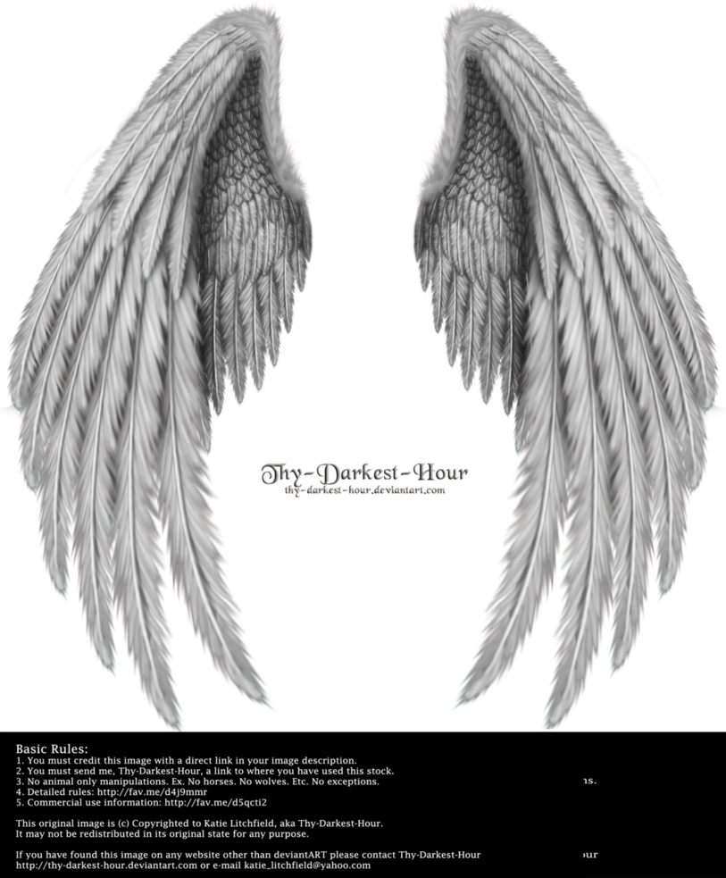 813x983 Drawing Detail Angel Wing Transparent Png Clipart Free Download - Detailed Angel Drawing