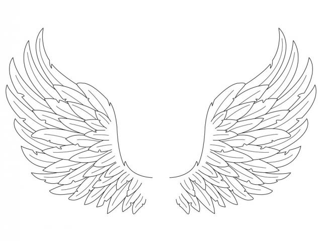 640x480 drawn angel detailed - Detailed Angel Drawing