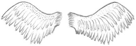 435x147 heavenly drawings of angel wings - Detailed Angel Drawing