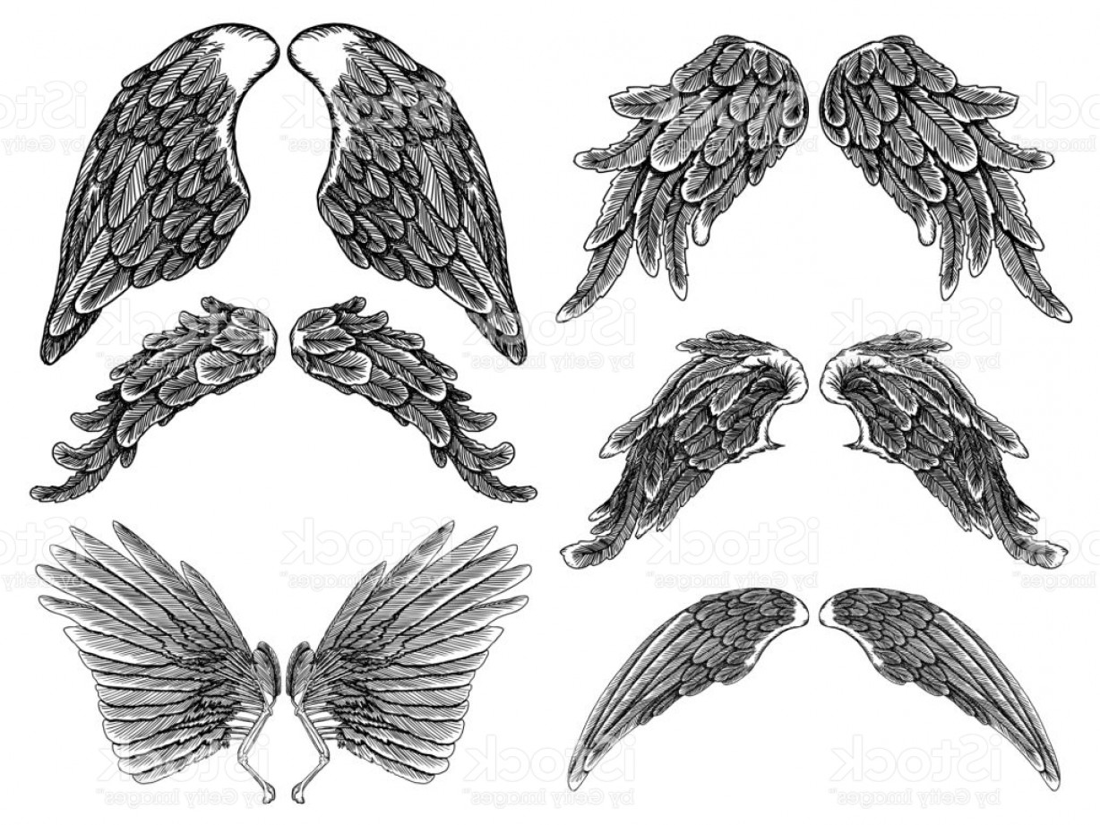 1228x921 wings pair set hand drawn detailed bird and angel wings vector gm - Detailed Angel Drawing