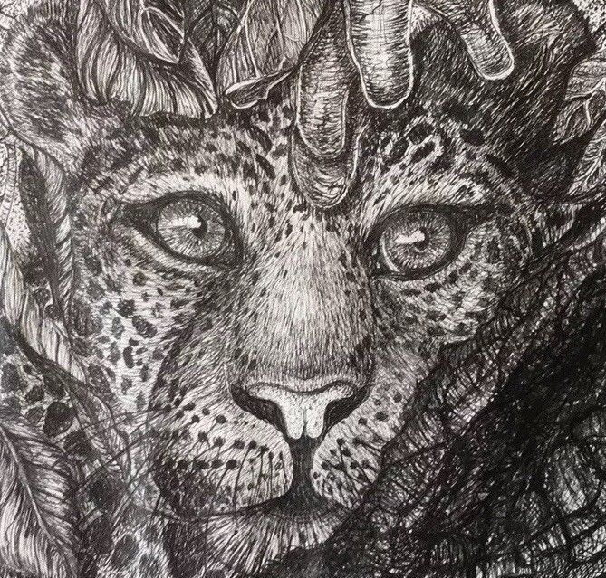 669x639 leopard big cat wild cat unique detailed pen and ink original - Detailed Cat Drawing