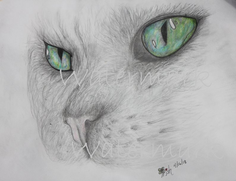 794x610 stunning detailed cat eyes print green eyed cat beautiful etsy - Detailed Cat Drawing