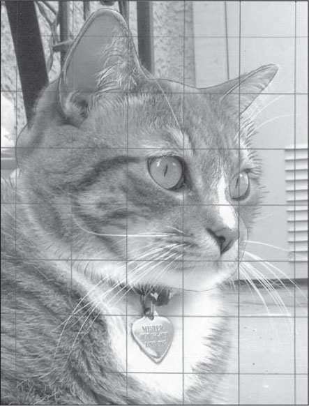 443x582 Cat Portrait - Detailed Cat Drawing