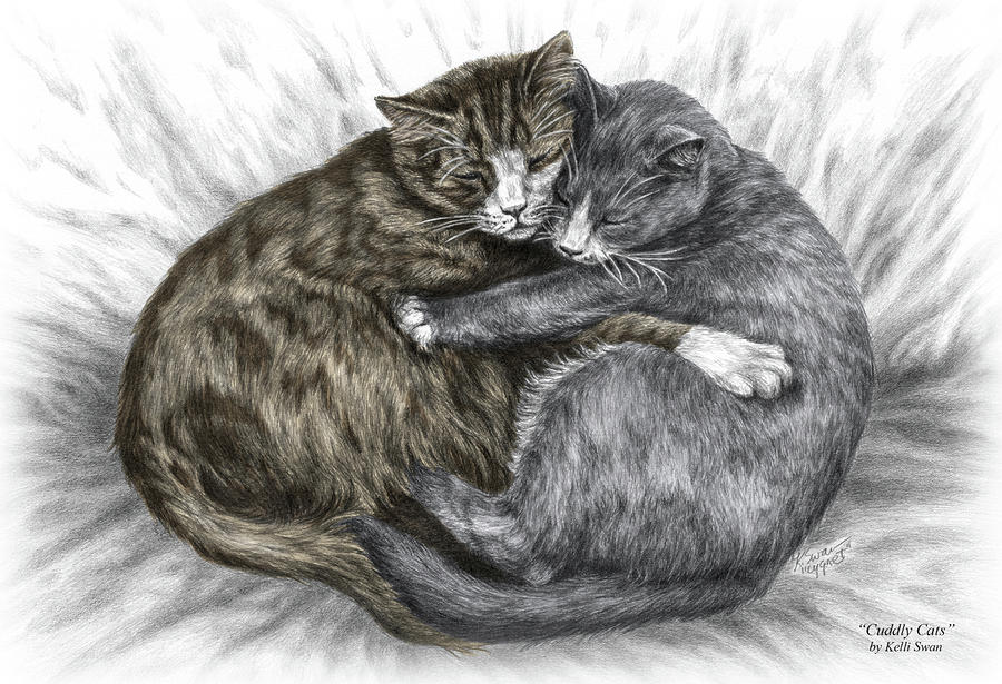900x615 Cuddly Cats - Detailed Cat Drawing