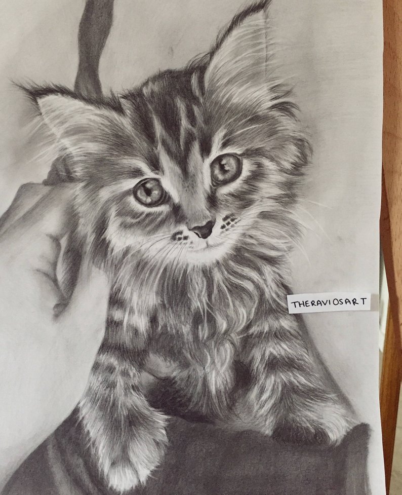 794x977 custom detailed cat portrait drawing graphite pencil portrait etsy - Detailed Cat Drawing
