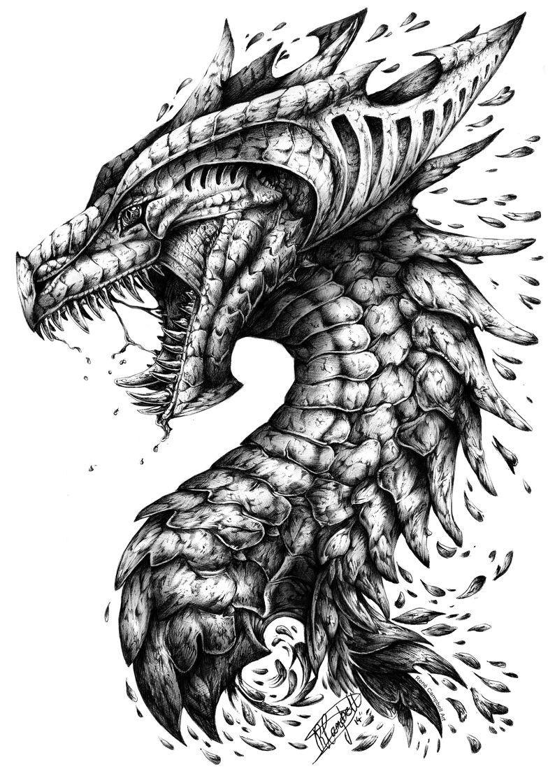 784x1100 art in detailed animal doodle drawings coloring pages for stain - Detailed Dragon Drawing
