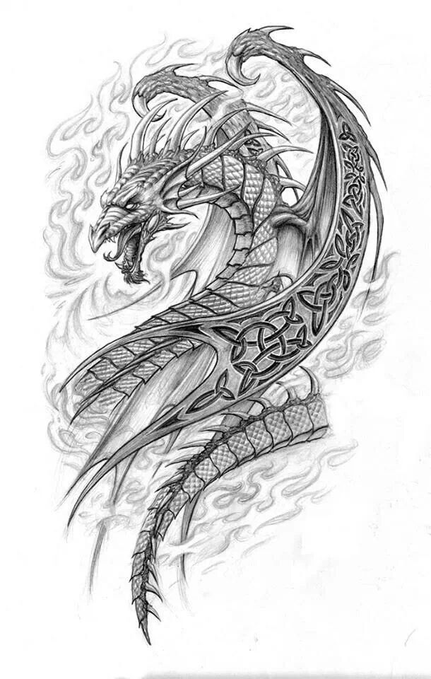 610x960 dragon fantasy myth mythical mystical legend dragons wings sword - Detailed Dragon Drawing