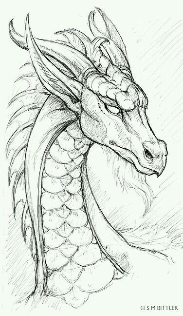 376x648 Dragon Pencil Drawing Dragons In Art, Drawings, Dragon Sketch - Detailed Dragon Drawing