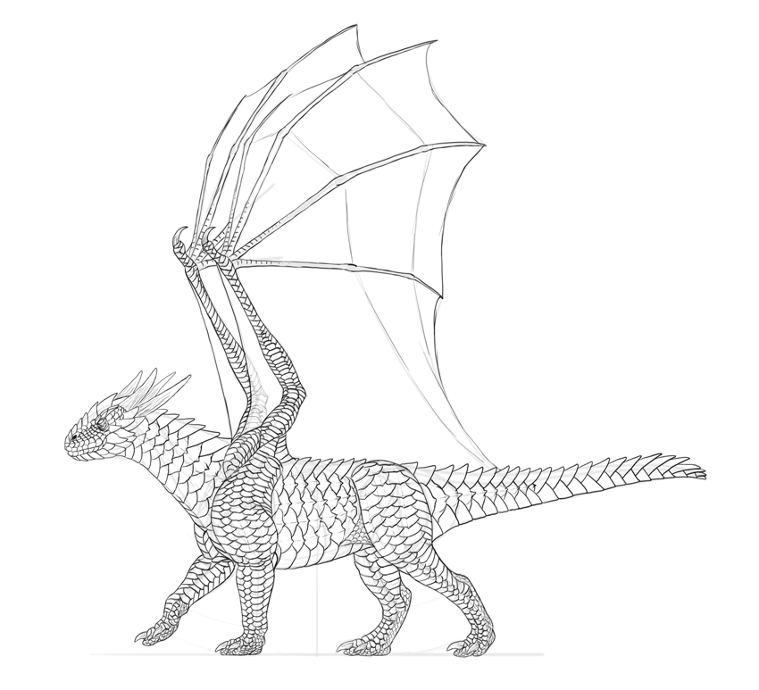 850x773 How To Draw A Dragon Step - Detailed Dragon Drawing
