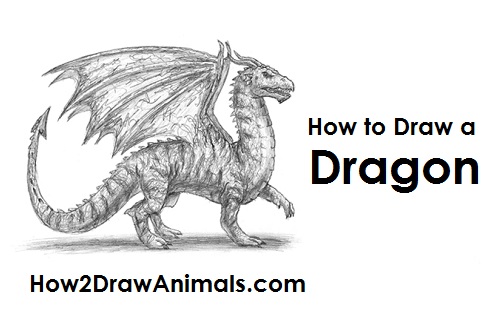 500x315 How To Draw A Dragon - Detailed Dragon Drawing
