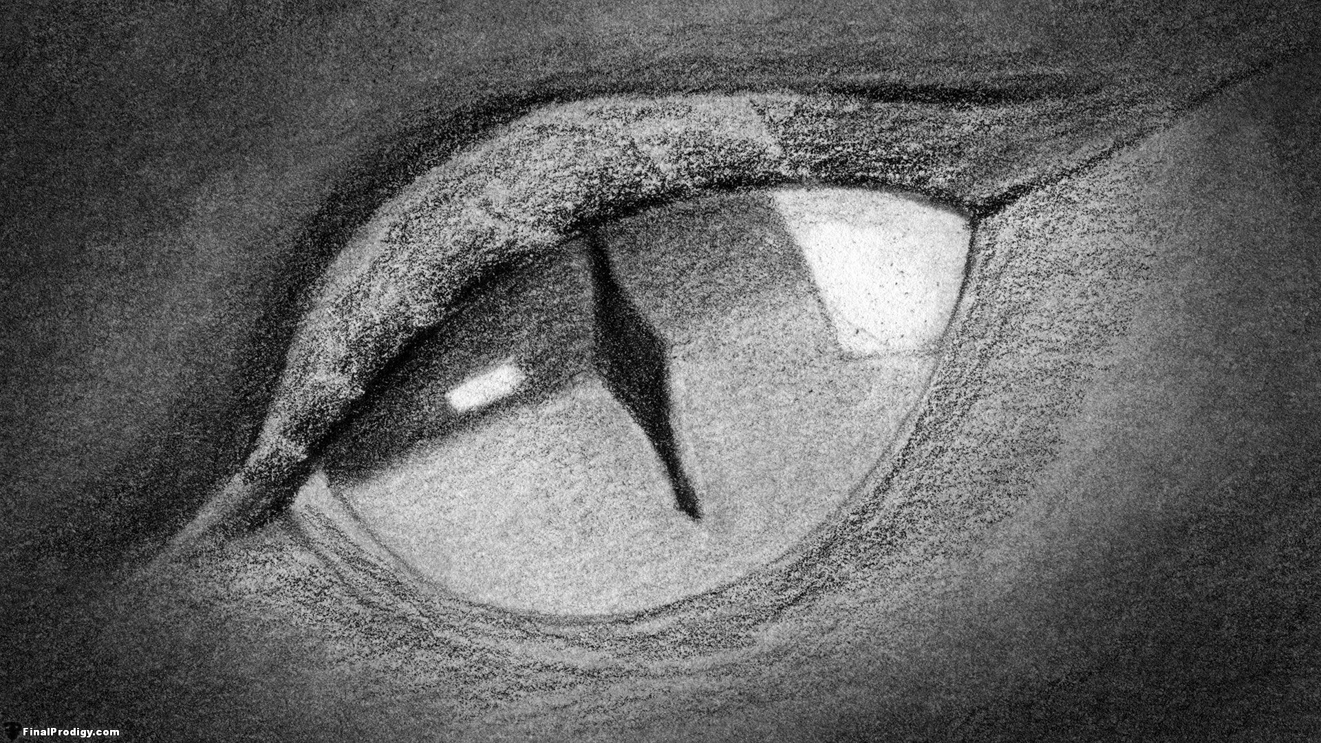 1920x1080 How To Draw A Dragon's Eye Close Up! Drawing Competition - Detailed Dragon Drawing