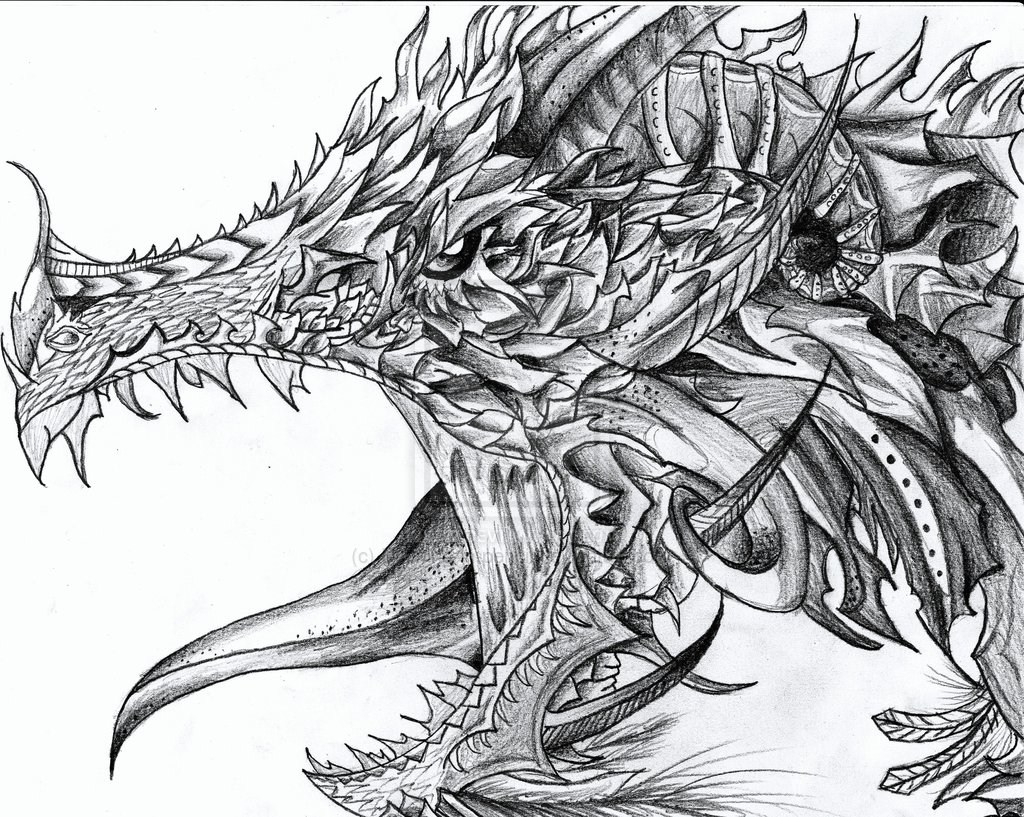 1024x817 Dragon Drawings Pictures And Ideas On Stem Education Caucus - Detailed Dragon Drawing