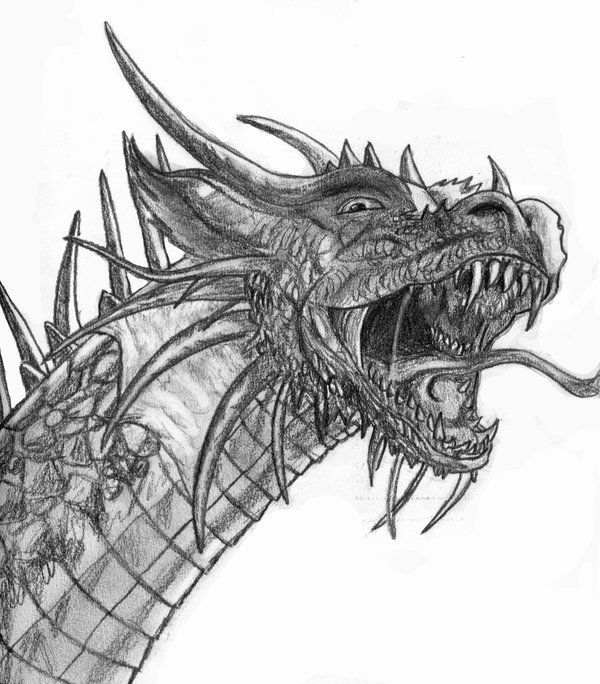 600x684 Dragon Face Drawing - Detailed Dragon Drawing