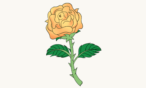 500x302 Easy Ways To Draw A Rose - Detailed Drawing Of A Rose
