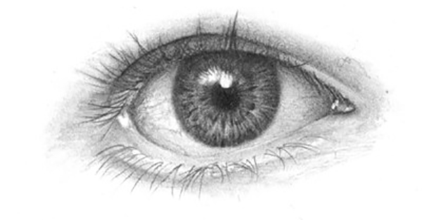600x314 Drawing The Human Eye - Detailed Eye Drawing