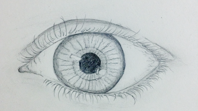 Detailed Eye Drawing at PaintingValley.com | Explore collection of ...