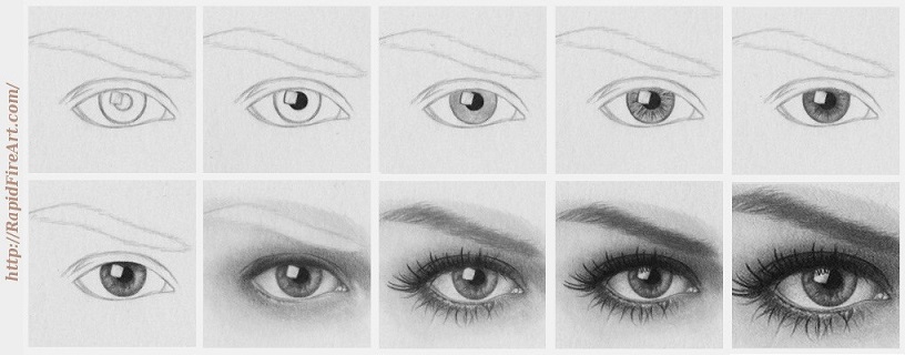 816x320 How To Draw A Realistic Eye Rapidfireart - Detailed Eye Drawing