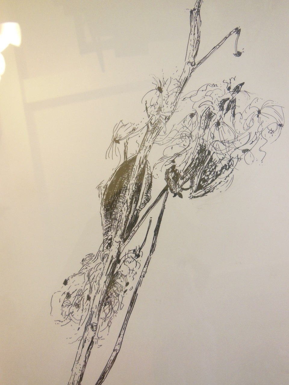 960x1280 carol kardon detailed flower in black and white framed drawing - Detailed Flower Drawing