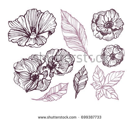 450x391 Detailed Flower Drawing - Detailed Flower Drawing