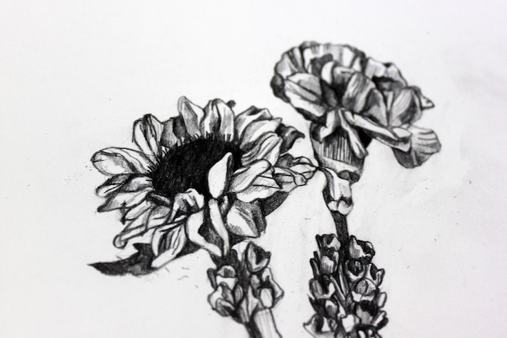 710x473 subject drawing detailed for free download - Detailed Flower Drawing