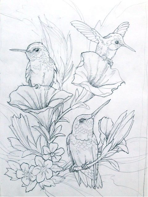 480x640 flowers drawings inspiration humming bird flower coloring pages - Detailed Flower Drawing