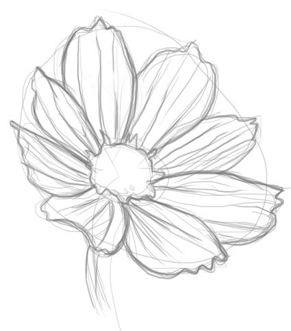 425x484 How To Draw Flowers Drawing - Detailed Flower Drawing