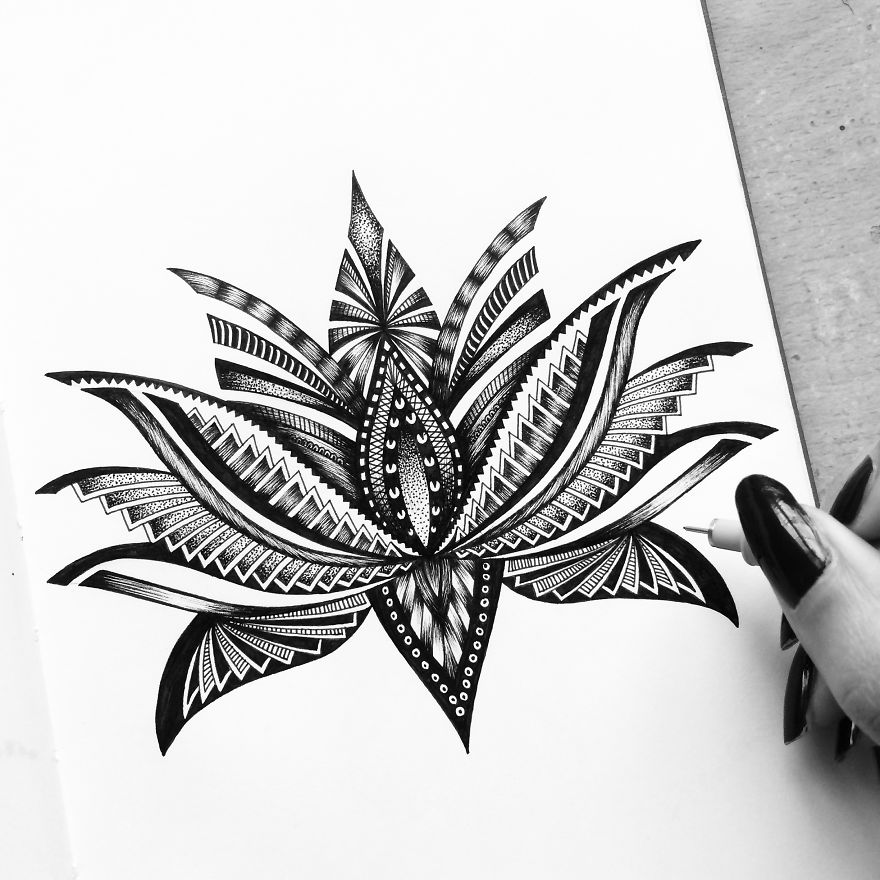 880x880 hibiscus flower sketch pen drawing art drawings chrysanthemum - Detailed Flower Drawing