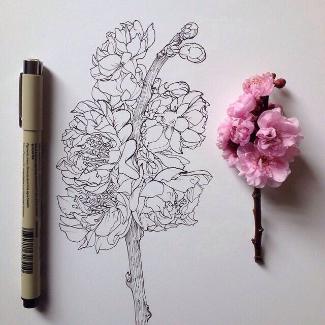 640x640 beautifully detailed flower drawing hobby lobby art, drawings - Detailed Flower Drawing