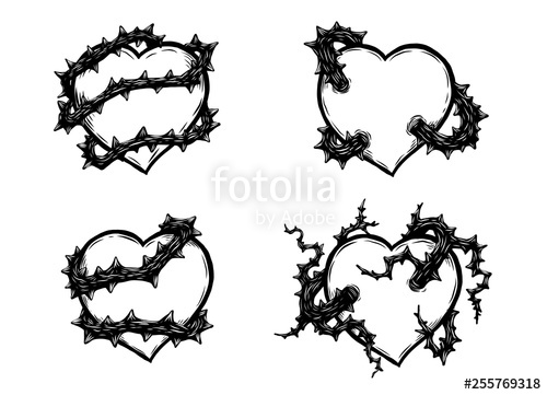 500x361 Heart With Rose Vine Vector - Detailed Heart Drawing