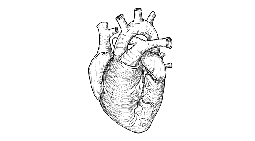 850x472 How To Draw A Heart - Detailed Heart Drawing
