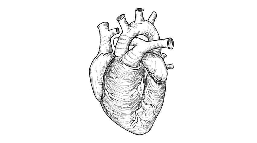 Detailed Heart Drawing at PaintingValley.com | Explore collection of ...